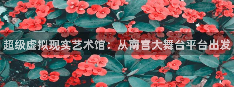 彩虹多多下载苹果手机版