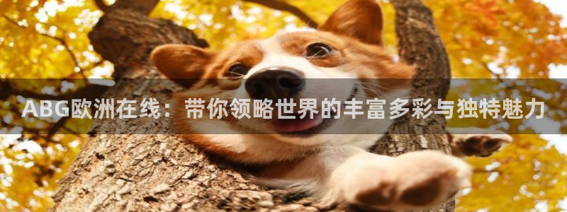 彩虹多多698免费版
