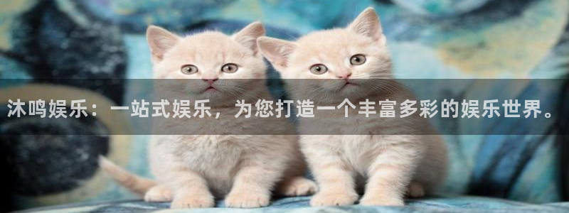 彩彩虹多多