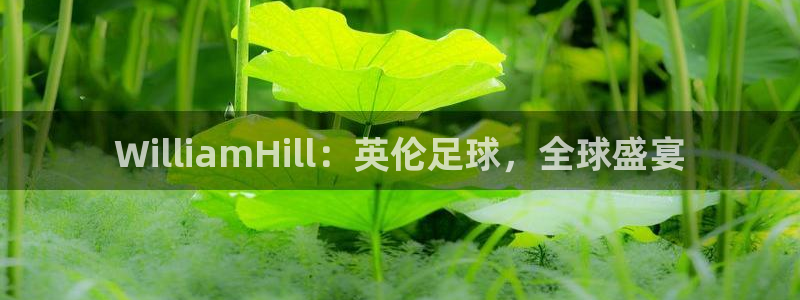 彩虹多多桌面版