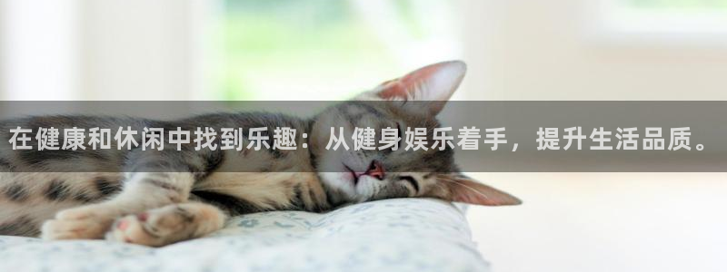 彩虹多多专家