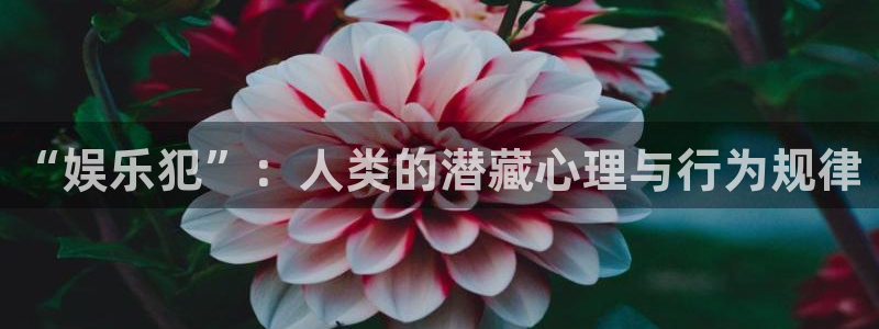 怎么删除彩虹多多