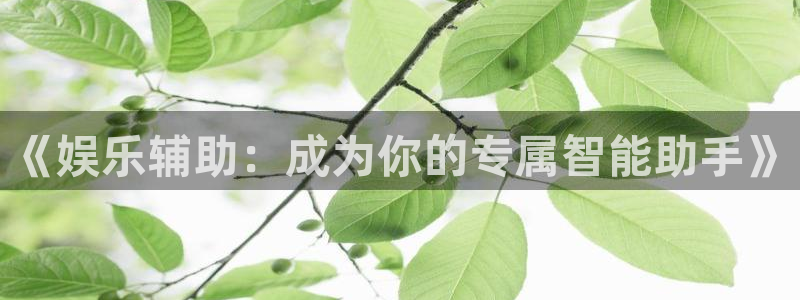 彩虹多多所有版app下载