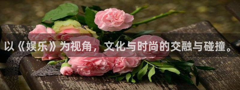 彩虹多多app版下载