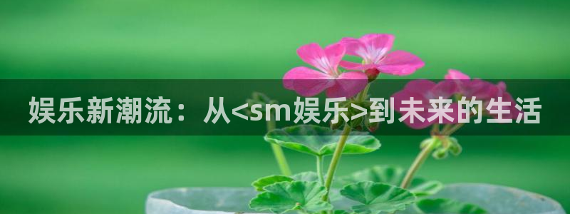彩虹多多pc版