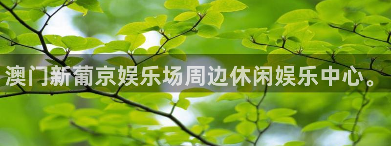 彩虹多多ios版更新时间