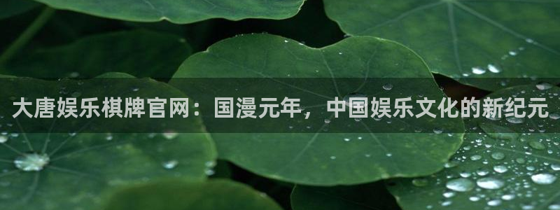 彩虹多多专享版：大唐娱乐棋牌官网：国漫元年，中国娱乐文化的新纪元