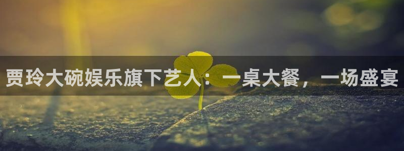 彩虹多多有电脑版的吗：贾玲大碗娱乐旗下艺人：一桌大餐，一场盛宴