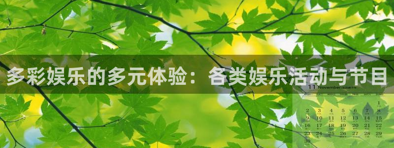 app彩虹多多：多彩娱乐的多元体验：各类娱乐活动与节目