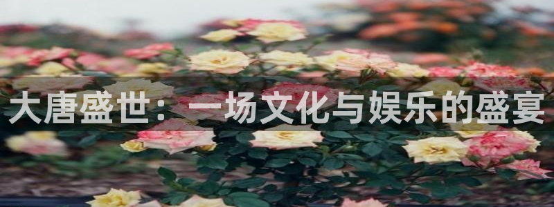 彩虹多多app苹果版本：大唐盛世：一场文化与娱乐的盛宴
