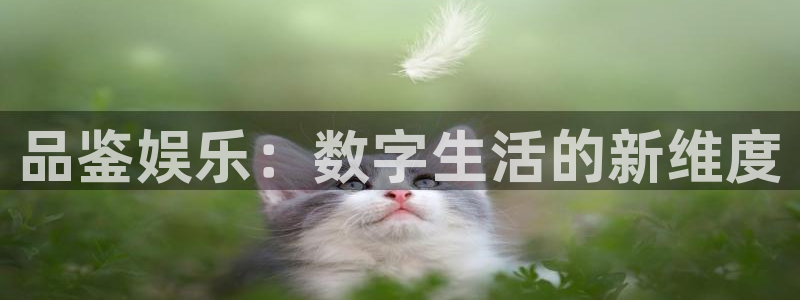 彩虹多多下载安装：品鉴娱乐：数字生活的新维度