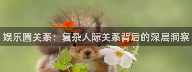 彩虹多多网址：娱乐圈关系：复杂人际关系背后的深层洞察