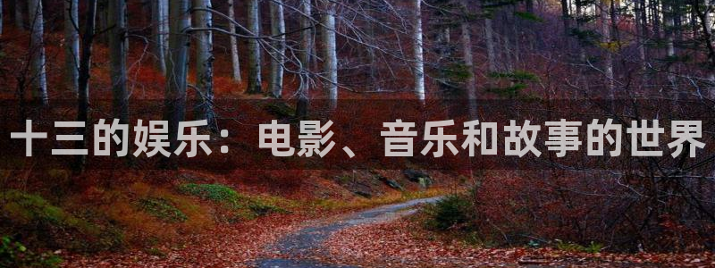彩虹多多pc版：十三的娱乐：电影、音乐和故事的世界