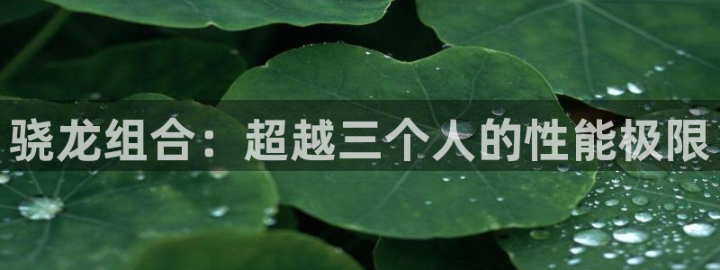彩虹多多是什么：骁龙组合：超越三个人的性能极限