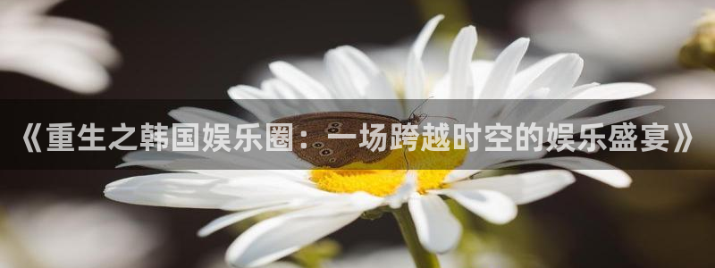 彩虹多多软件安全吗：《重生之韩国娱乐圈：一场跨越时空的娱乐盛宴》