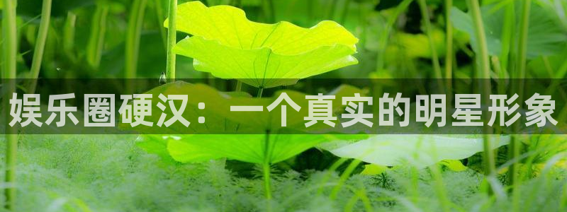 彩虹多多app官网下载安装：娱乐圈硬汉：一个真实的明星形象
