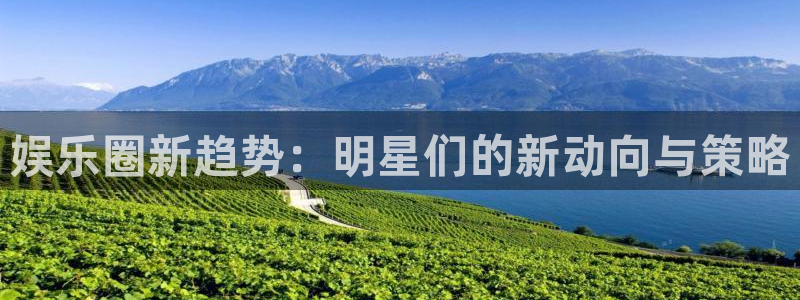 彩虹多多下载安装：娱乐圈新趋势：明星们的新动向与策略