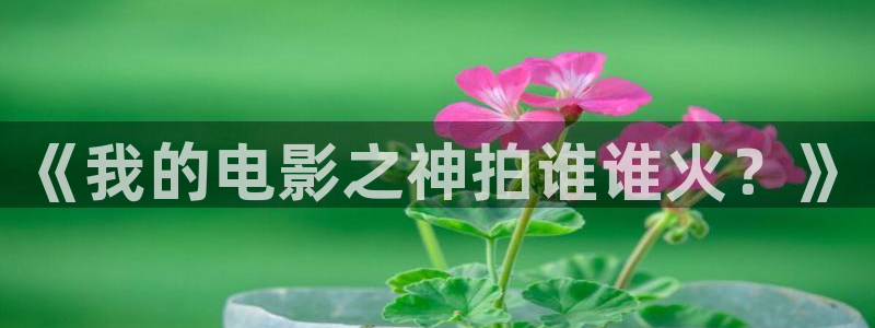 彩虹多多官网：《我的电影之神拍谁谁火？》