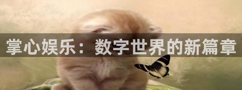 彩虹多多2025：掌心娱乐：数字世界的新篇章