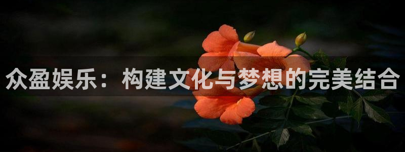 彩虹多多 下载安装：众盈娱乐：构建文化与梦想的完美结合