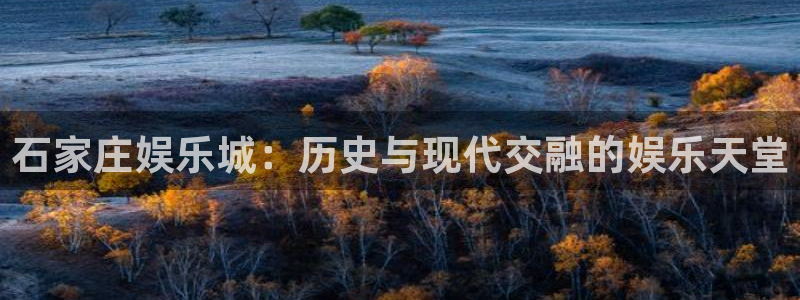 彩虹多多电脑版下载：石家庄娱乐城：历史与现代交融的娱乐天堂