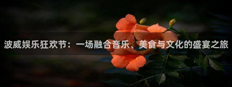 彩虹多多是正规的吗：波威娱乐狂欢节：一场融合音乐、美食与文化的盛宴之旅