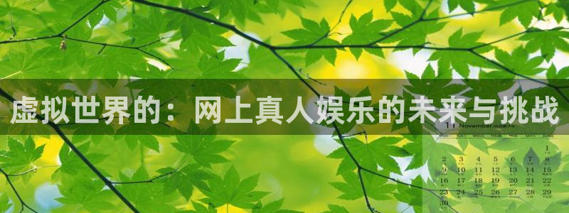 彩虹多多ios版怎么下载：虚拟世界的：网上真人娱乐的未来与挑战