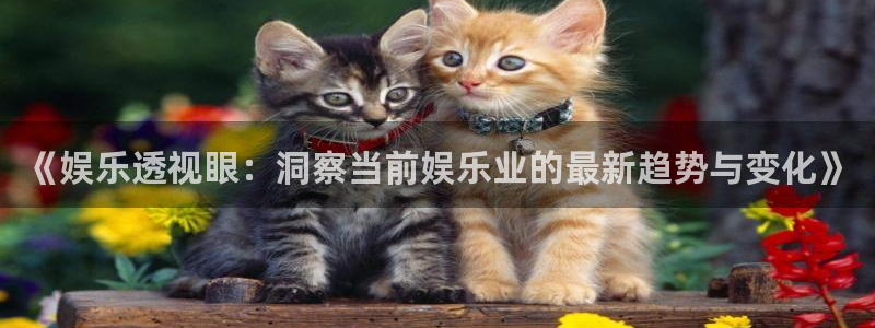 彩虹多多app官网下载：《娱乐透视眼：洞察当前娱乐业的最新趋势与变化》