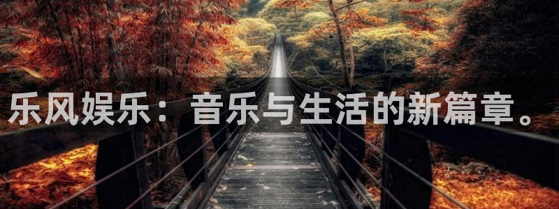 2025彩虹多多免费版：乐风娱乐：音乐与生活的新篇章。
