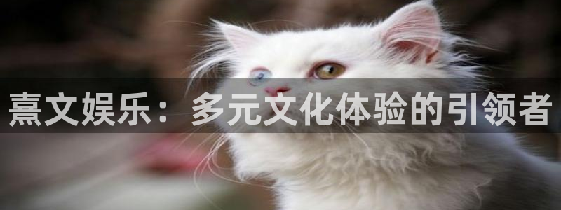 彩虹多多 下载安装：熹文娱乐：多元文化体验的引领者